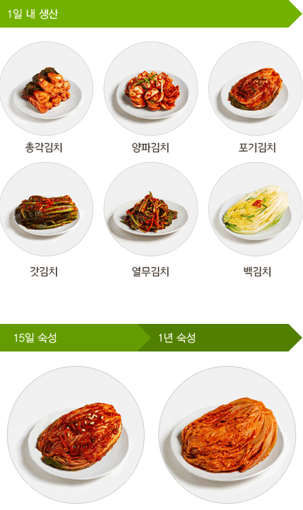 일차별 김치숙성 과정